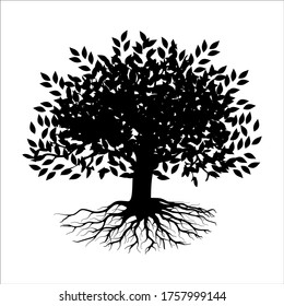 Mangrovenbaum, Vektorsilhouette, Schwarz-Weiß-Farben