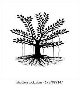 silueta vectorial de árbol de manglar, colores blanco y negro