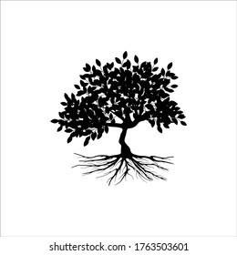 mangrove tree vector silhouette, black and white colors
