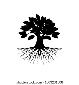 mangrove tree vector silhouette, black and white colors