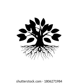 mangrove tree vector silhouette, black and white colors
