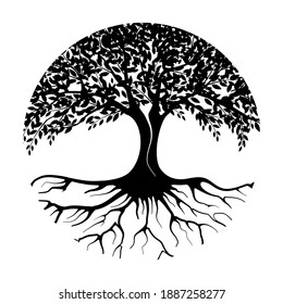 mangrove tree vector silhouette, black and white colors