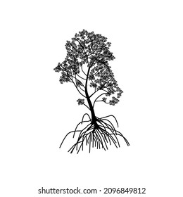 mangrove tree vector silhouette, black and white colors