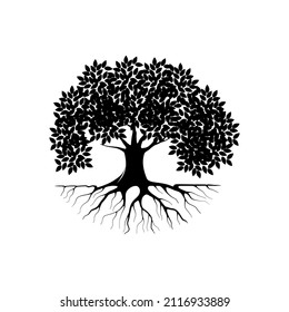 Mangrove Tree Vector Silhouette Black White Stock Vector (Royalty Free ...