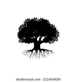 Mangrove Tree Vector Silhouette Black White Stock Vector (Royalty Free ...