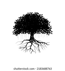 silueta vectorial de árbol de manglar, colores blanco y negro