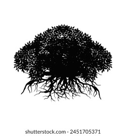 mangrove tree vector silhouette, black and white colors