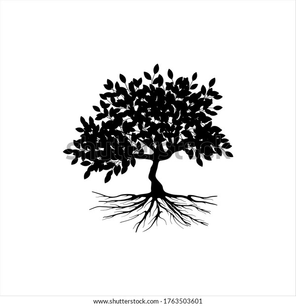 Mangrove Tree Vector Silhouette Black White Stock Vector (Royalty Free ...