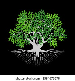 Mangrove trees and roots, isolated on a black background, vector illustration