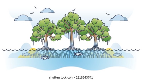 Mangrove Trees With Underwater Roots System As Tropical Plant Outline Concept. Living Flora In Wet Environment And Coastal Saline Or Brackish Water Areas Vector Illustration. Exotic Botany Vegetation.