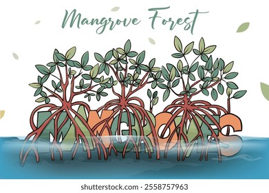 Mangrove trees in the waters with the concept of writing Mangroves flanked by mangrove roots. 