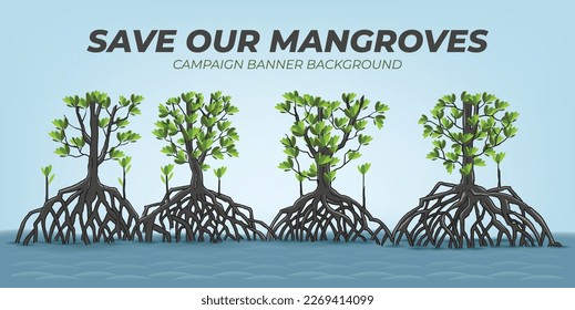 Mangroves forest vector illustration for Banner Background