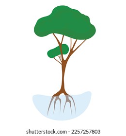 Ilustración vectorial de los manglares. Un árbol verde o arbusto. Ecosistema de aguas costeras de los trópicos. Aislado sobre un fondo blanco.
