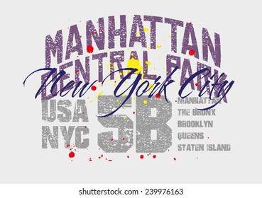 manhattan central park graphic design vector art