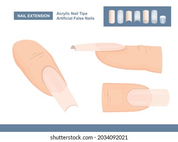 Maniküre Zubehör für Nagelverlängerungen. Acryl-Fingernail-Tipps. Künstliche Falsche Nägel zum Malen. Vektorgrafik 