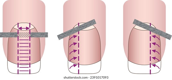 Manicure guide. Manicure manual. Nails vector illustrations. Lady fingers.