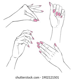 Manicure hands. Vector collection of hand drawn elegant woman hands in various gestures. Manicure, beauty and skincare concept