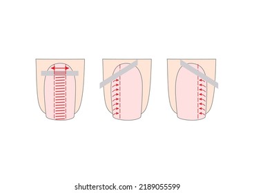 Manicure instruction. Nails vector illustrations. Lady fingers.