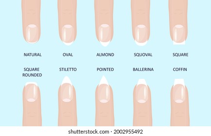 Manicure most popular fashion nail shapes flat style vector illustration set isolated light blue background. Natural, squoval, oval, square rounded, square, almond, stiletto different shapes guidance.