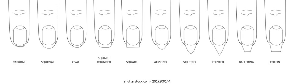 Manicure most popular fashion nail shapes flat style vector illustration set isolated on white background. Natural, squoval, oval, square rounded, square, almond, stiletto different shapes guidance.