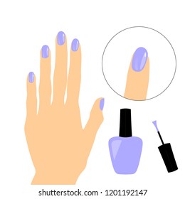 Manicure nail polish vector