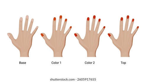 Manicure steps, base, color and top vector illustration design. Red nail polish or gel.