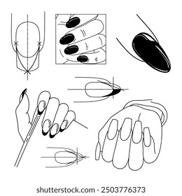 Manicure vector isolated illustrations. Collection of nail schemes. Templates for beauty design