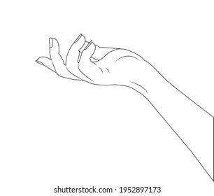 Manicured hand. Woman's hand stretching palm up line icon. Cosmetic care for hands Female hand open palm for holding or showing something line hand drawing illustration