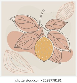 Manilkara Fruit Vector Illustration  Stunning Digital Artwork