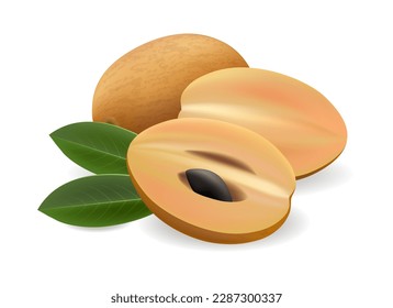 Manilkara zapota fruits. Realistic sapodilla pile design, chikoo sapota isolated vector, chicozapote with green leaf vector illustration