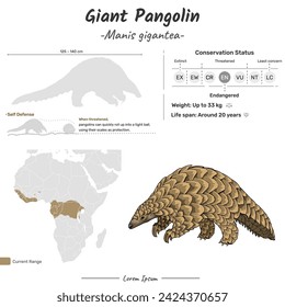 Manis gigantea Giant pangolin geographic range. Can be used for topics like biology, zoology. 
