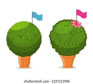 Manjerico plant with flag in a pot. Vector cartoon illustration isolated on a white background.