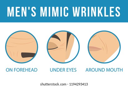 Man's anti-aging skin care and men's cosmetics. Different types of facial wrinkles. Age-related skin changes. Vector