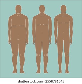 A man's before and after transformation from obese to muscular. Illustration of a man seen from the front