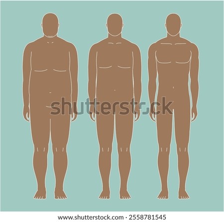 A man's before and after transformation from obese to muscular. Illustration of a man seen from the front