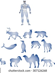 Man's body with skeleton and animals silhouettes. Isolated on white illustration