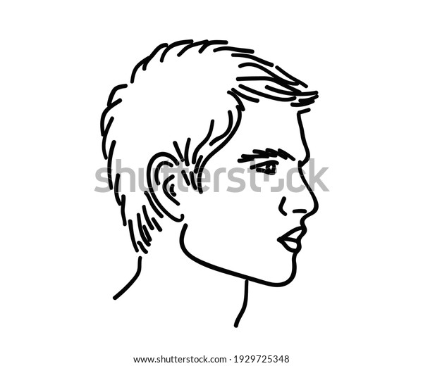 Mans Face Beautiful Cheekbones Vector Illustration Stock Vector ...