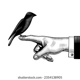 Man's hand with a bird sitting on the index finger. Vintage engraving stylized drawing. Vector illustration
