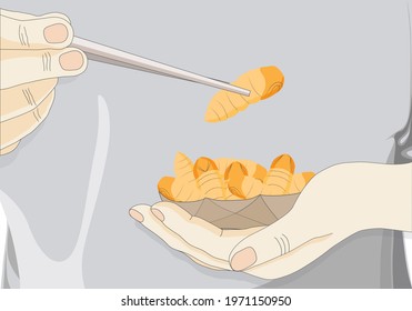 Man's hand holding chopsticks which contain Silkworm Pupa insects for eating as food deep-fried crispy snack for take-away, it is good source of protein edible for future. Entomophagy concept.