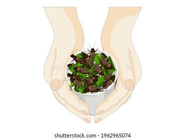 Man's hand holding disposable cup which contain Crickets insects for eating as food deep-fried crispy snack for take-away, it is good source of protein edible for future. Entomophagy concept.