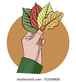 A man's hand holds autumn leaves of green, red, yellow and orange colour