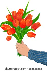  A man's hand holds a bouquet of red  tulips. Flowers for the Birthday, 8 Eighth March, St. Valentine's Day, anniversary. For gift cards, banners. Isolated on white background, vector illustration.
