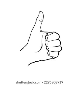 A man's hand shows a thumbs up gesture. Hand Drawn. Freehand drawing. Doodle. Sketch. Outline.