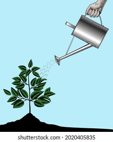 A man's hand waters the plant. Tree with green leaves. Vintage engraving stylized drawing. Vector illustration 