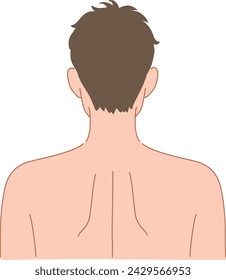 Man's head, back view. For illustrations of pressure points etc.