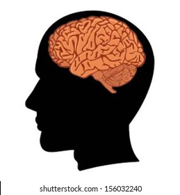 man's head with brain silhouette vector