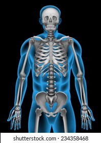 A man's skeleton system on a black background