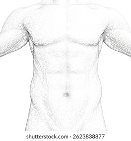 El torso de un hombre se muestra en blanco y negro. La Imagen es un dibujo del torso de un hombre, con los brazos y las piernas no visibles. El dibujo es en blanco y negro, dándole un aspecto descarnado y minimalista