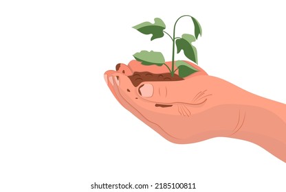 Mans's hands hold the soil with the sprout isolated on the white background. An ecological and organic concept. Vector illustration