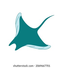 manta flat illustration and image